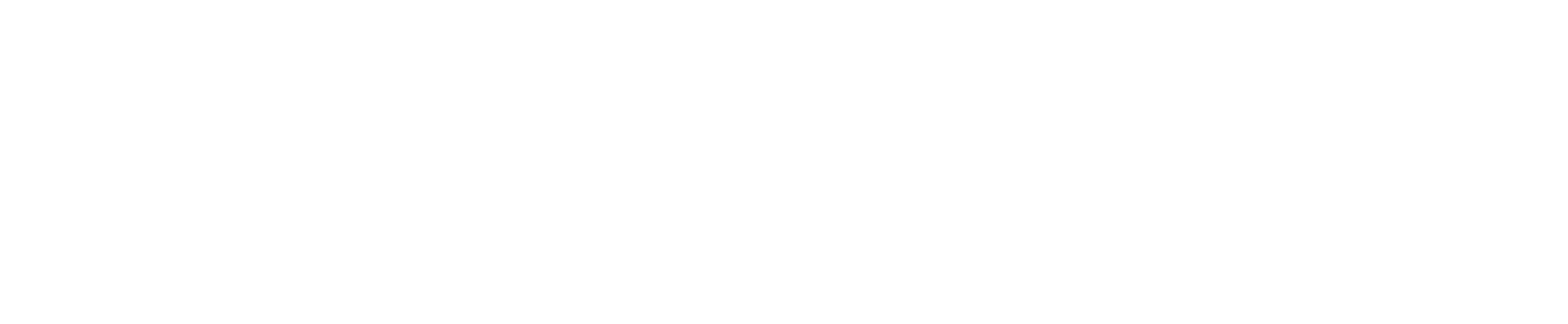 Steinmeier Studios logo